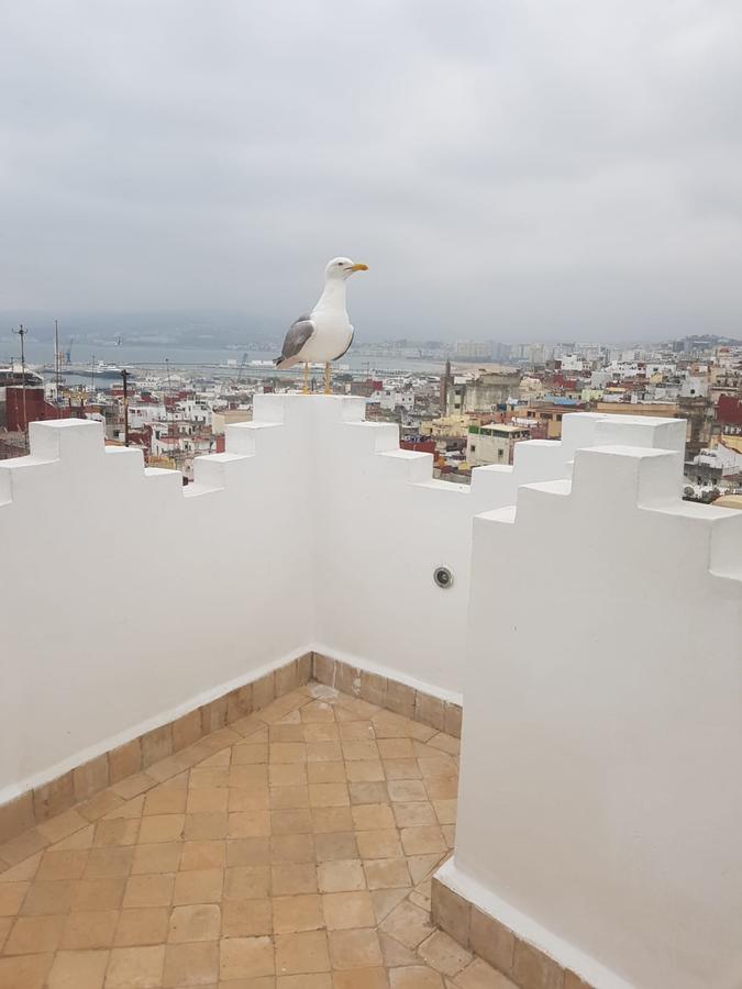 Maison Medina, Terrasse Panoramique, Vue Mer Tangier Bagian luar foto